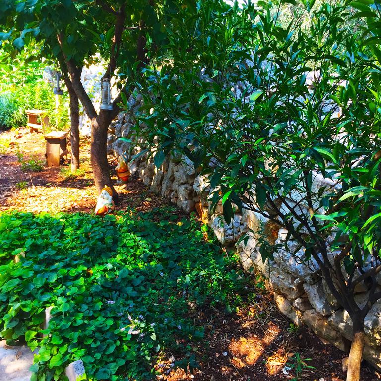 Masseria Nenetta Bed And Breakfast Monopoli Zewnętrze zdjęcie