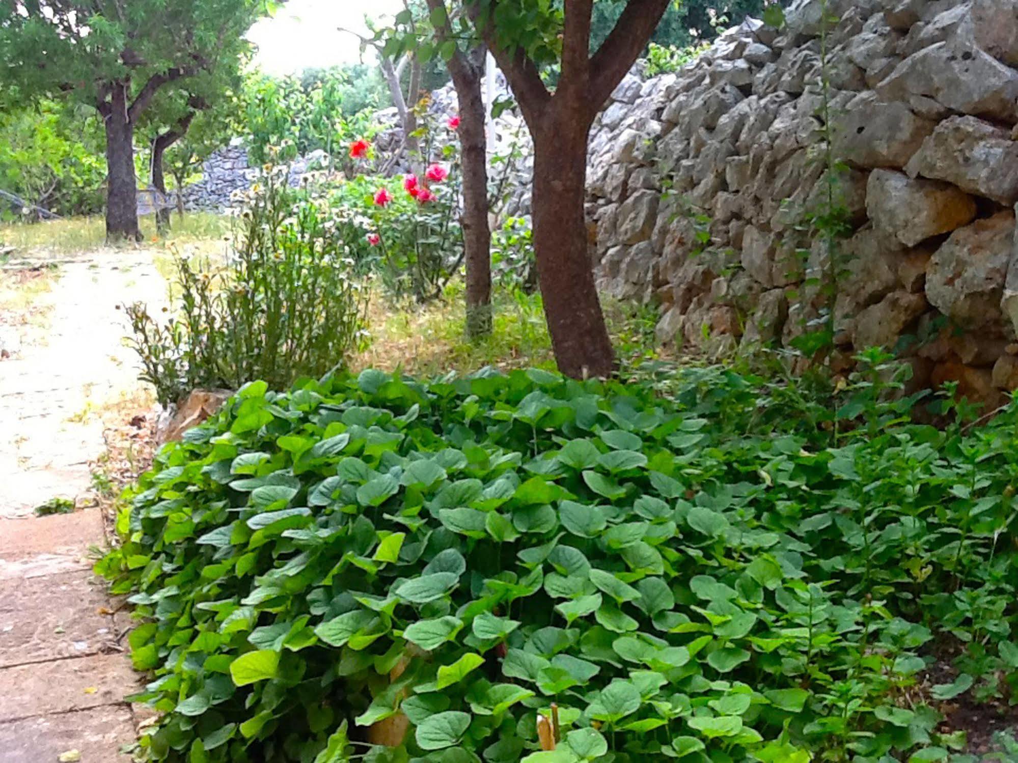 Masseria Nenetta Bed And Breakfast Monopoli Zewnętrze zdjęcie